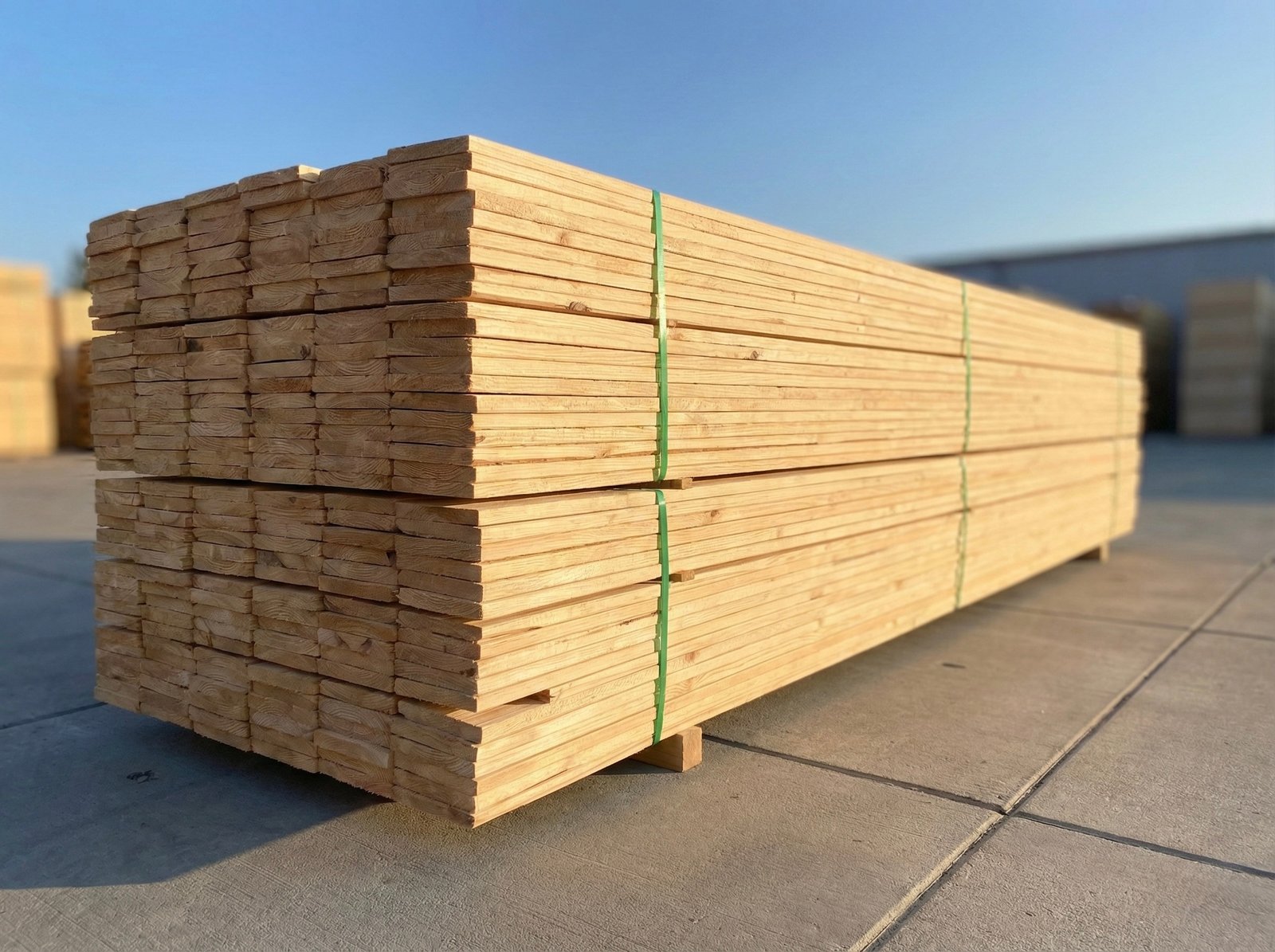 Lentos 22x98x2400 mm #BD-155