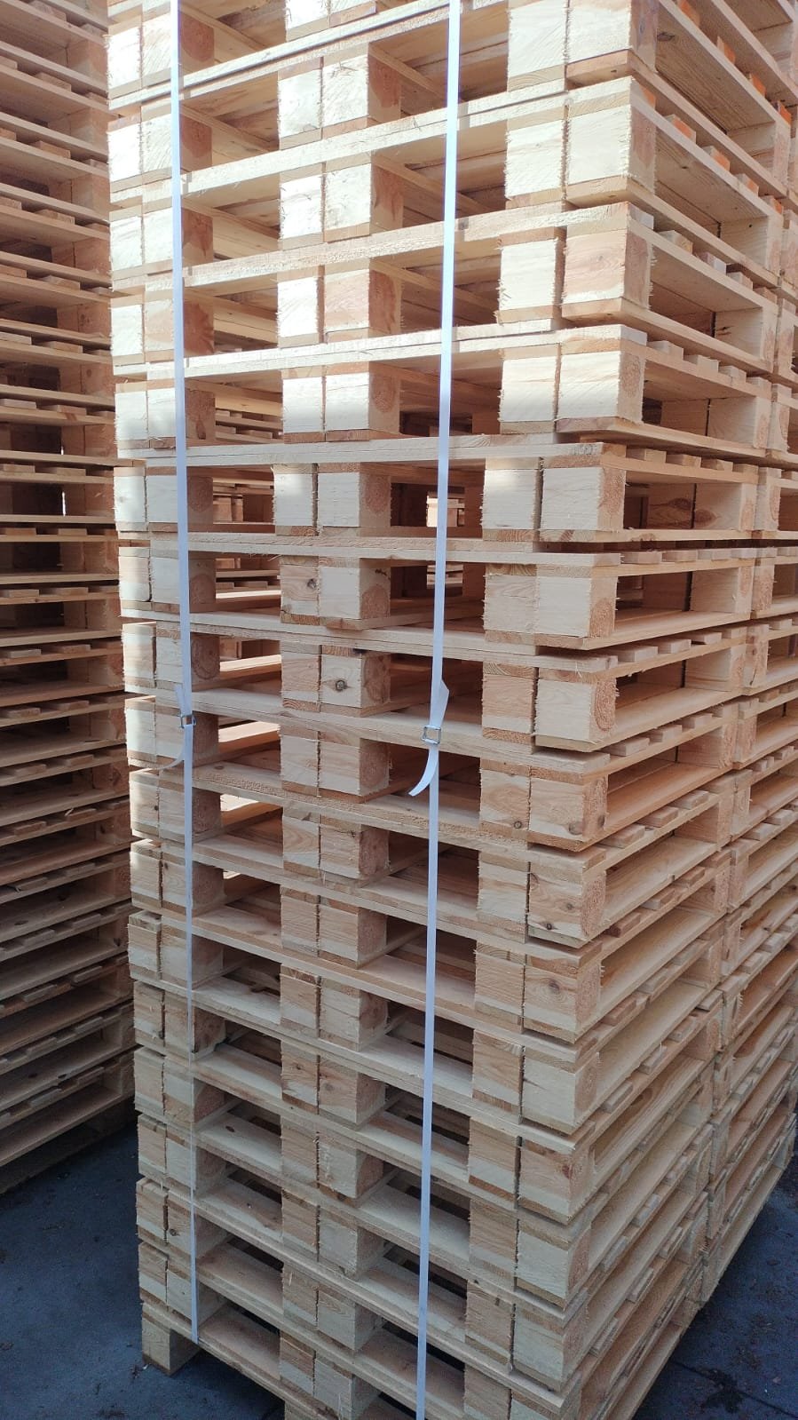 Padėklas 800x600 mm #PL-99